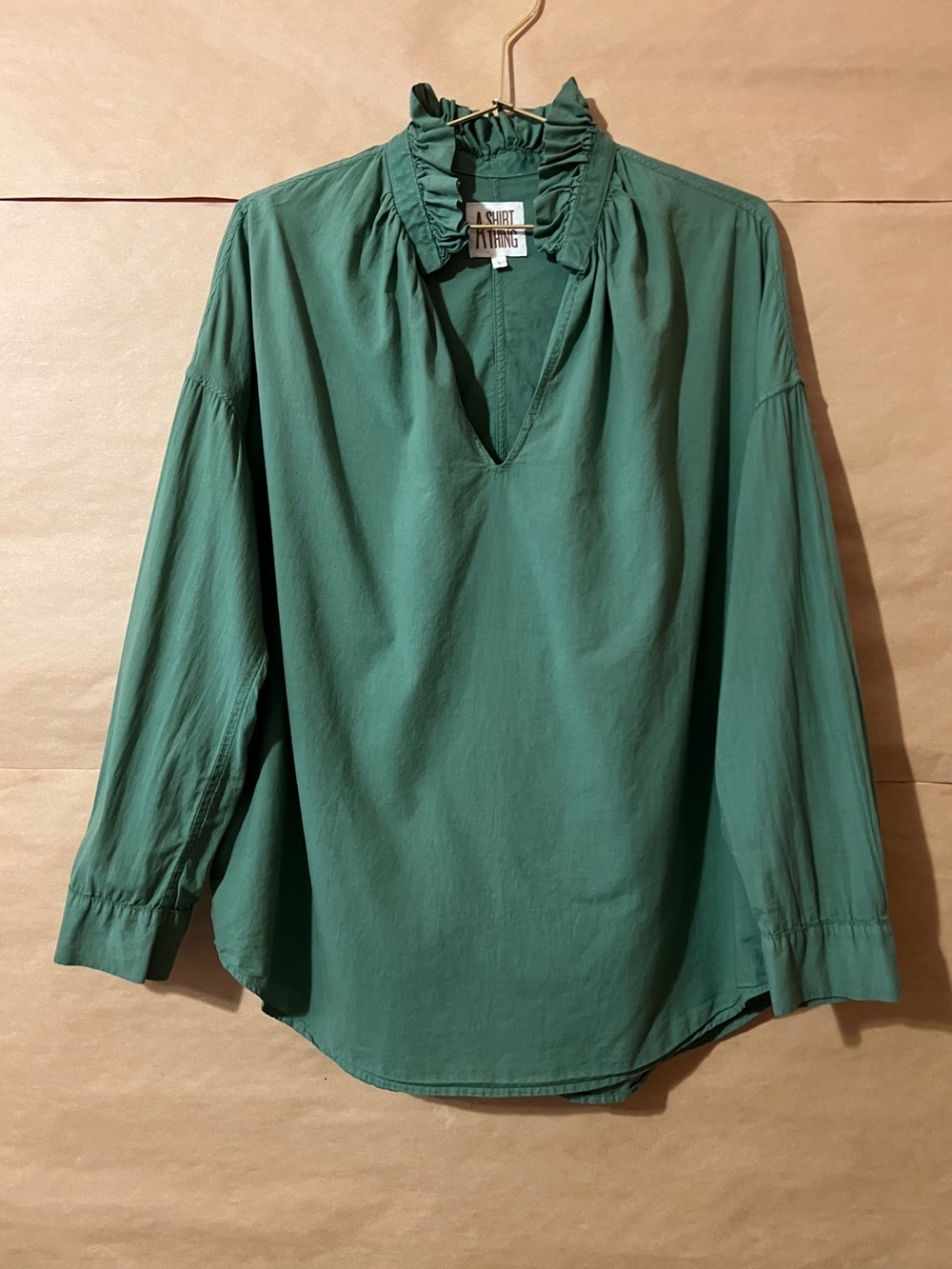 A Shirt Thing | Penelope Cabo Popover Top Ruffle Collar Shirt Green Size S